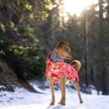 Ziemas Pet Suns, Apģērbs Lieliem Suņiem Silts, Ūdensizturīgs Suņu Apģērbu Mētelis Biezāka Kokvilnas Polsterētām Suņu Jaka Pitbull franču Buldogs