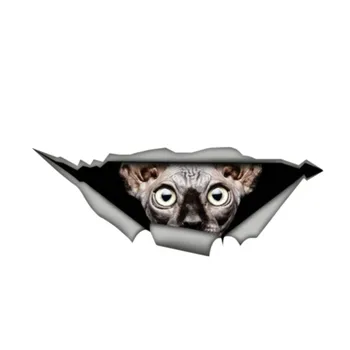Kanādas sfinksu Kaķis Uzlīmes 3D Pet Grafiskais Vinila Decal Auto stiklu Klēpjdatoru Bufera Putnu Auto Uzlīmes,13cm*5cm