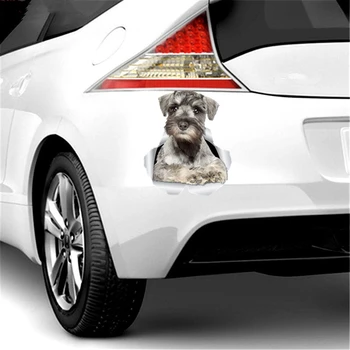 15X10CM Ārējie Piederumi 3D Ziņkārīgs Schnauzer Suns Decal Uzlīmes uz Auto Sienas Bērnu Istabā, Bagāžas Skeitborda