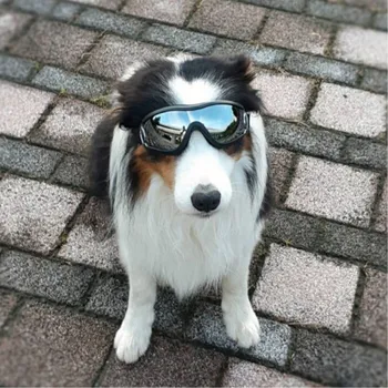 Modes Pet Suns, Brilles Stilīgas Saulesbrilles Ar Uv Suņu Suņu Piederumi Elastīgs Valkāt Acu Aizsardzības Pretvēja Brilles Pet Piegādēm